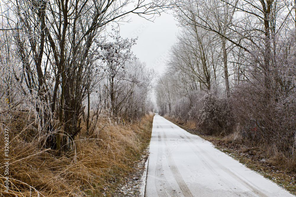 Straßen, Pfade und Wege im Winter: Natur genießen Straßen, Pfade und Wege im Winter: Natur genießen