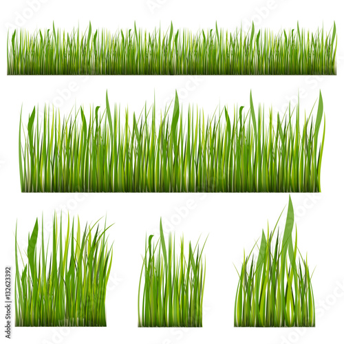 Green Grass Borders Set, Vector Illustration