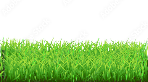 Fresh grass template, spring theme