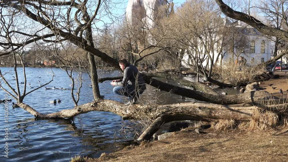 a man climbed a tree and throws bread crumbs in the water and feeds the ducks floating a man climbed a tree and throws bread crumbs in the water and feeds the ducks floating