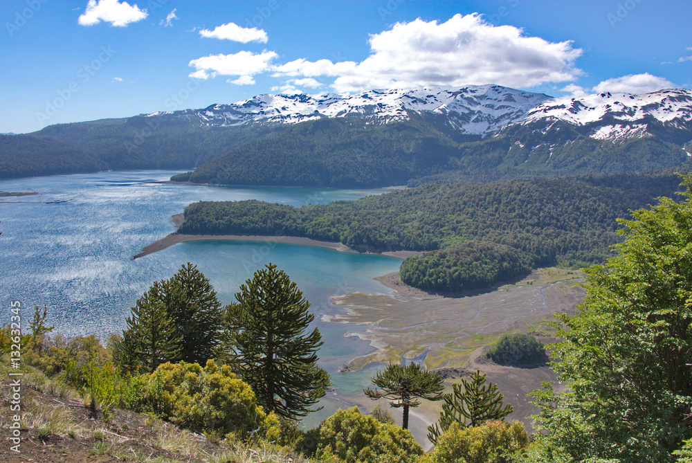 view of araucarias, the lake and mountains covered with snow in Conguillio National Park in Chile