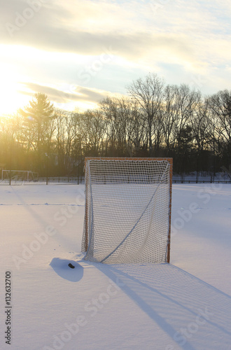 Lacrosse goal in snow