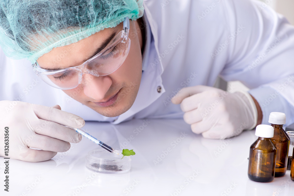 Naklejka premium Biotechnology concept with scientist in lab