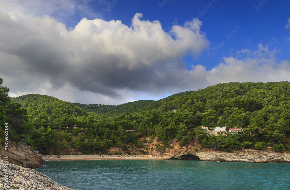 Apula coast,Gargano National Park: Pungnochiuso beach. Vieste,Italy.The bay is bounded by marvellous hills covered with age-old pine trees. Apula coast,Gargano National Park: Pungnochiuso beach. Vieste,Italy.The bay is bounded by marvellous hills covered with age-old pine trees.