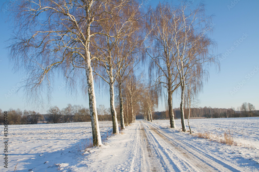 Obraz premium Winter landscape - a road among fields
