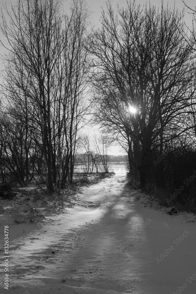 Obraz premium Winter landscape - fields covered with snow