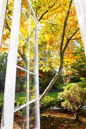 Window open to a view of a sunny fall afternoon in the garden