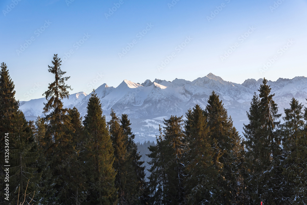 Winter landscape of Tatra Mountains