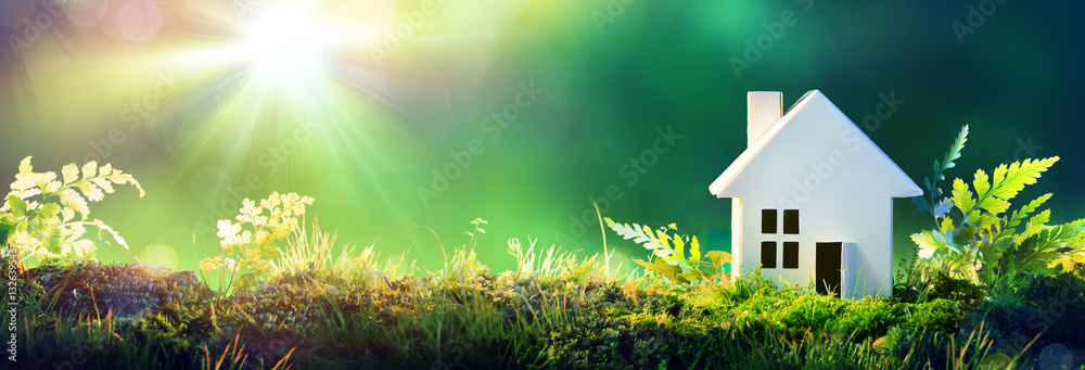 Obraz premium Eco Friendly House - Dom papieru na mchu w ogrodzie