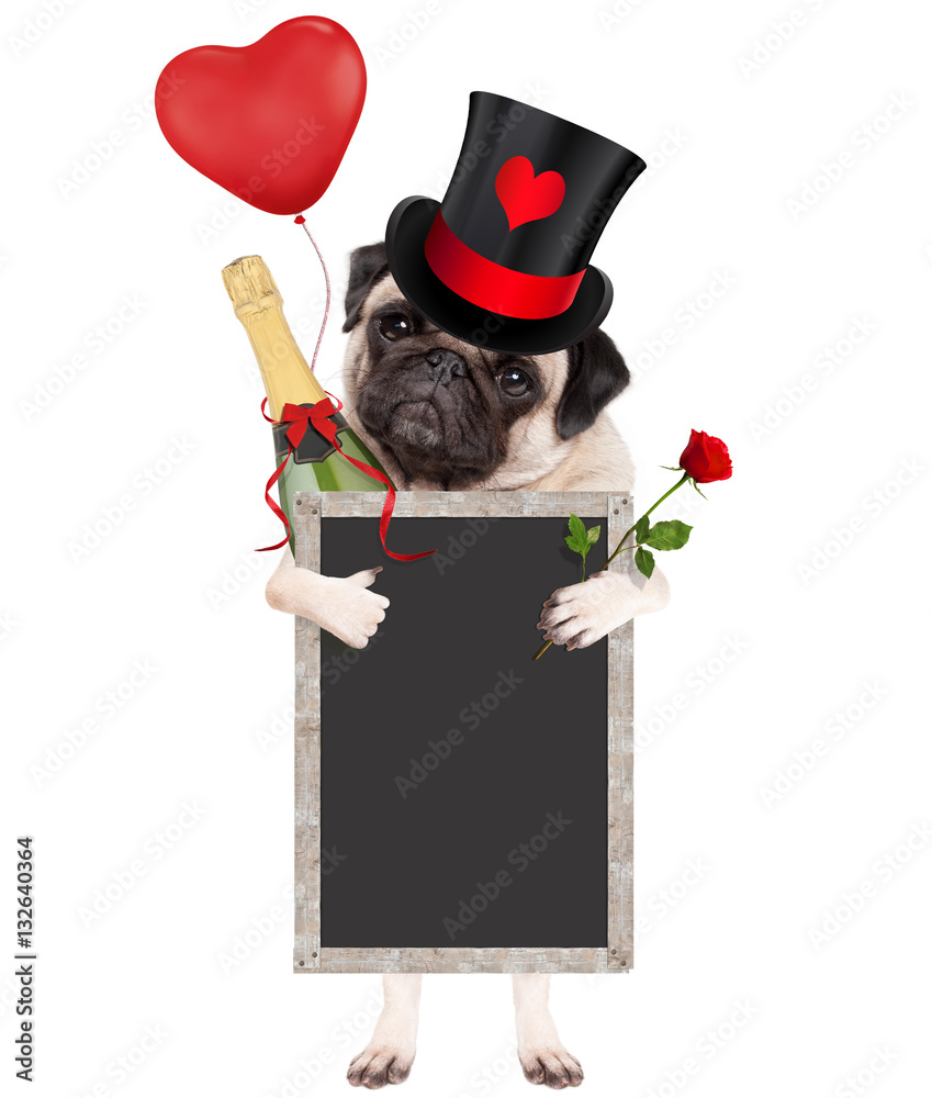 pug with top hat