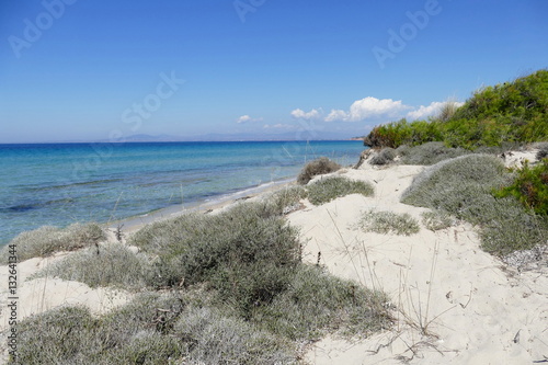 Fototapeta Naklejka Na Ścianę i Meble -  Sani Beach, Kassandra, Halkidiki, Griechenland
