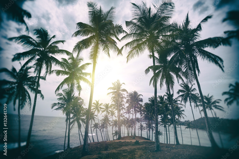 Fototapeta premium Beautiful landscape tropical beach.