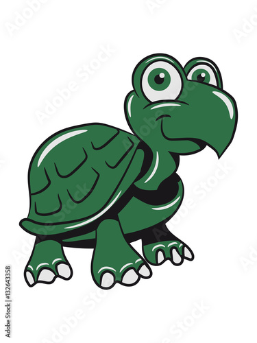 Turtle cute child-loving