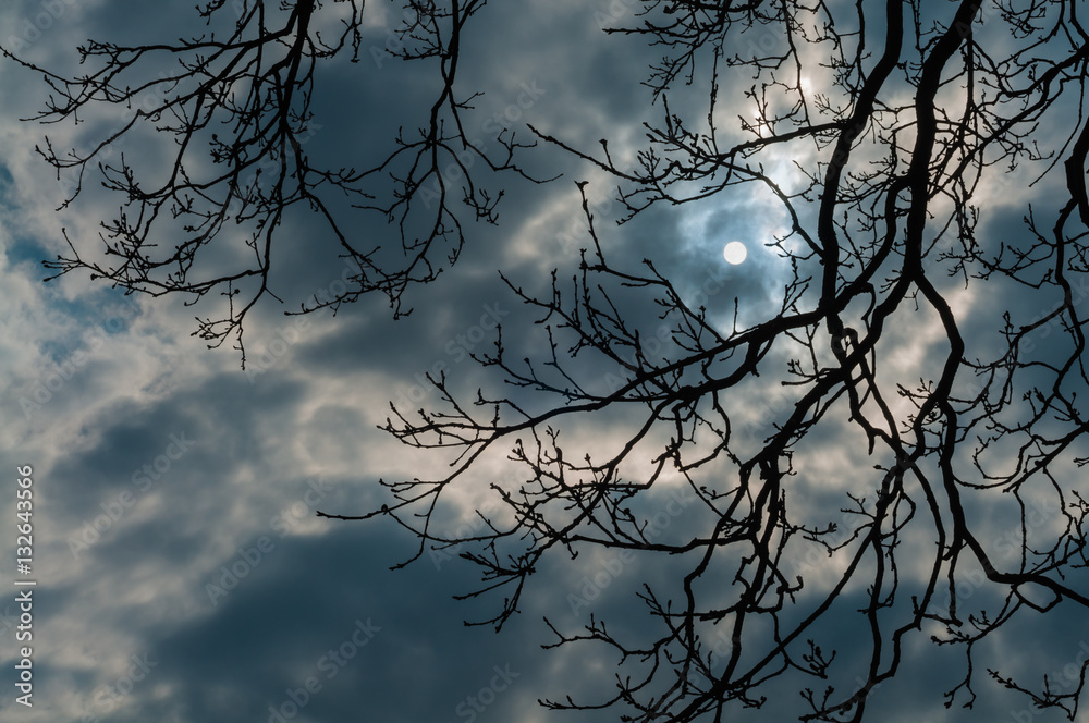 Vollmond im Winter scheint durch kahle Äste einer alten Eiche, Nacht, Schlafstörungen, Erdtrabant, Nachtruhe, unheimlich Vollmond im Winter scheint durch kahle Äste einer alten Eiche, Nacht, Schlafstörungen, Erdtrabant, Nachtruhe, unheimlich