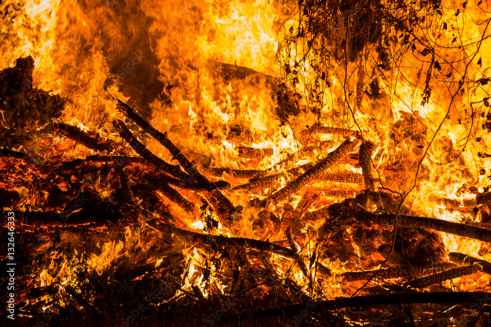 fire, burning grass and small trees. fire, burning grass and small trees.