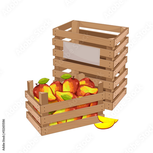 Wooden box full of mango isolated on white background vector illustration. Fresh fruit, organic farming, vegan food, delivery farm product, grocery store concept. Ripe mango in wooden crate icon.
