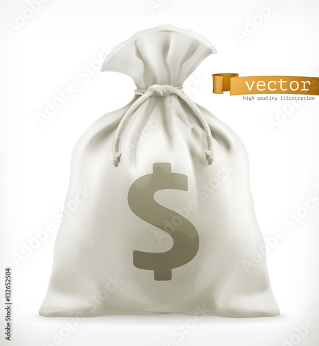 Money Bag. 3d vector icon