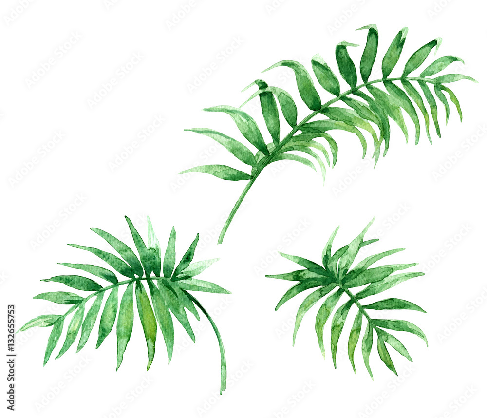 Palm Set Palm Set