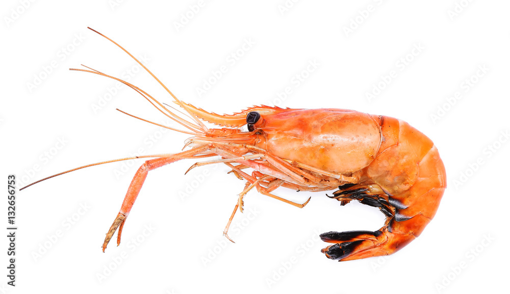 Prawns, Grilled shrimp isolated on white background, Top view. Prawns, Grilled shrimp isolated on white background, Top view.