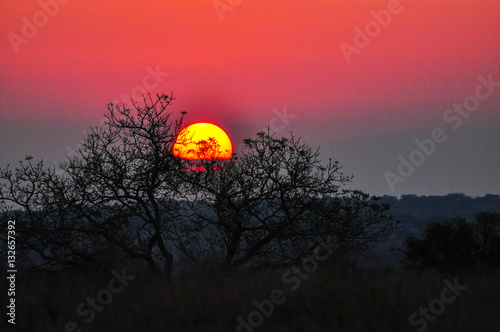 Bushveld Sunset photo