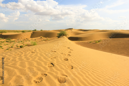 Footsteps on dunes in Rajasthan desert, India