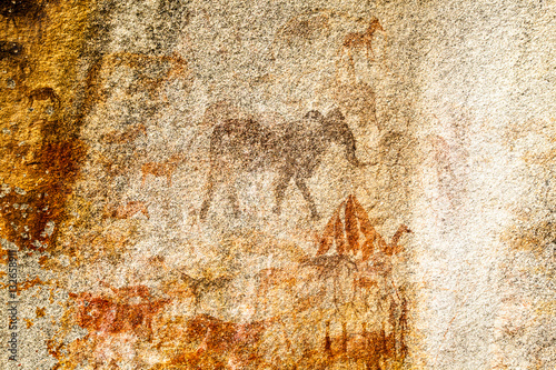 Elephant Rock Painting.  Ancient Bushman Rock Paintings. Domboshava Zimbabwe Africa photo