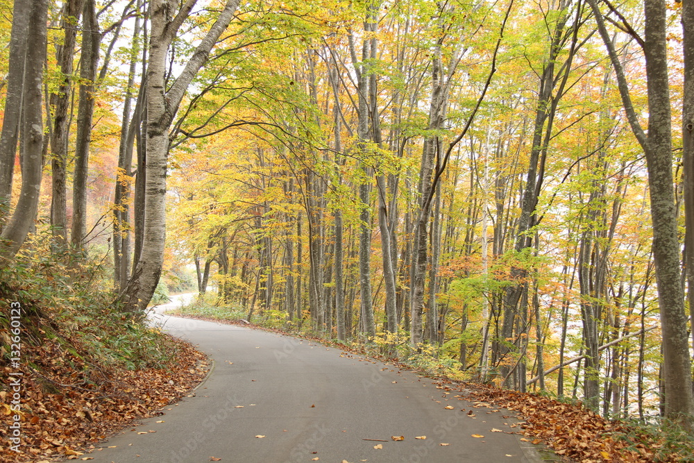 Naklejka premium 秋山郷周辺