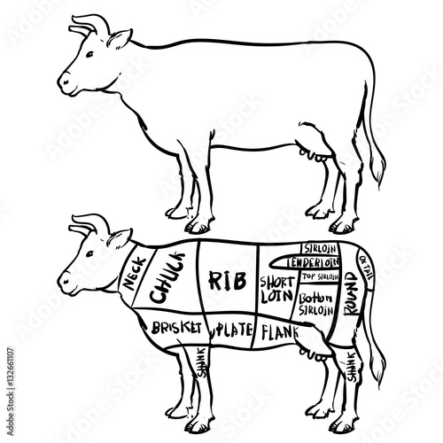 Cow cuts diagram and butchery set, Vector clip art