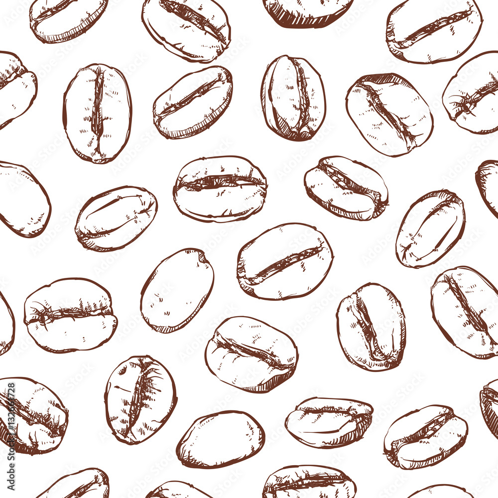 Fototapeta Kawowej fasoli wzór wliczając bezszwowego na białym tle, Wektorowa klamerki sztuka