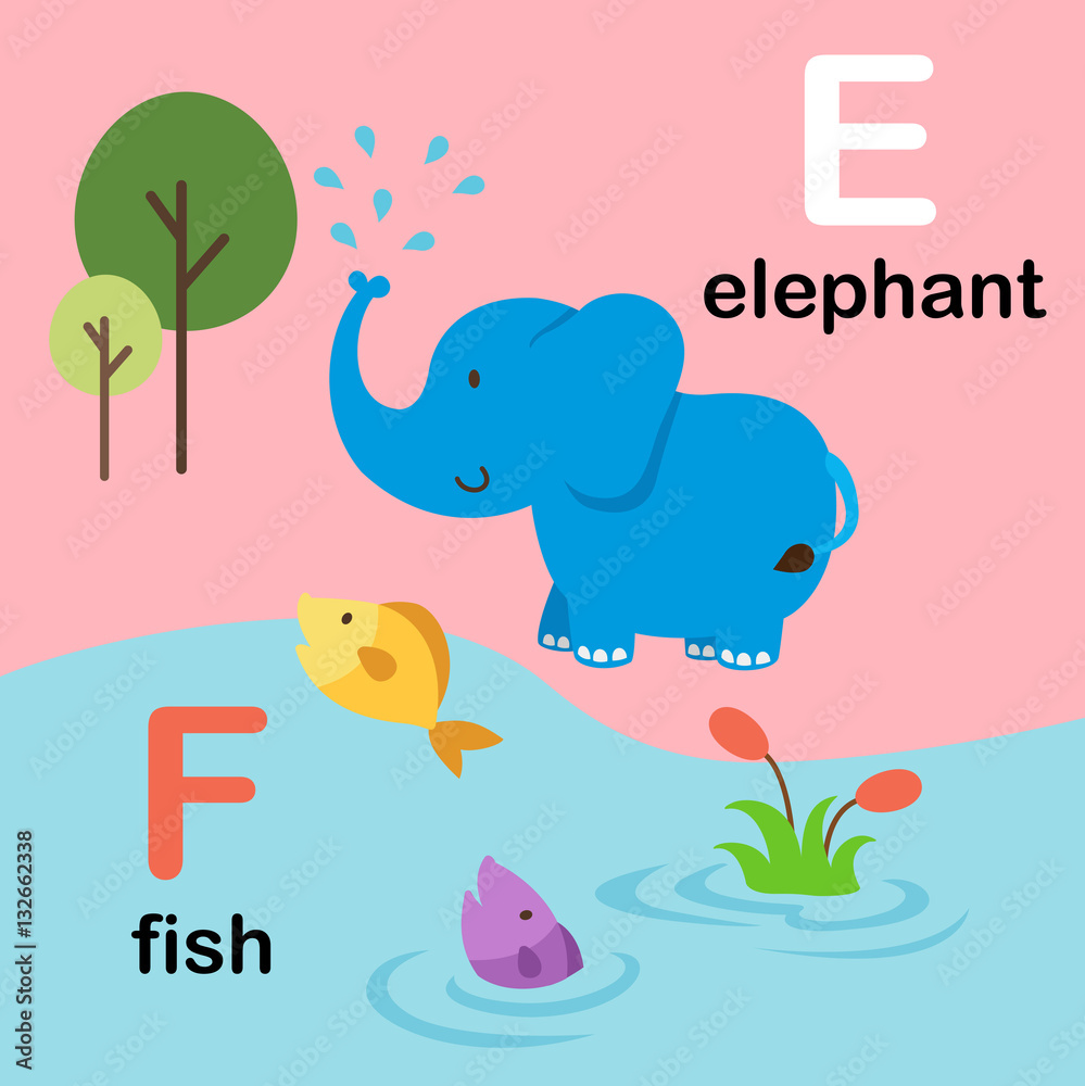 Alphabet Letter F-fish,E-elephant,illustration Alphabet Letter F-fish,E-elephant,illustration