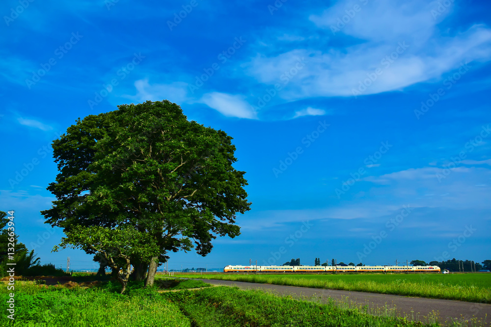 Fototapeta premium 山形県庄内町田谷の風景