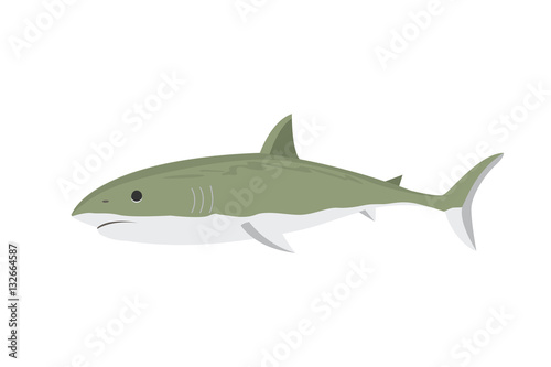 Vector shark character.