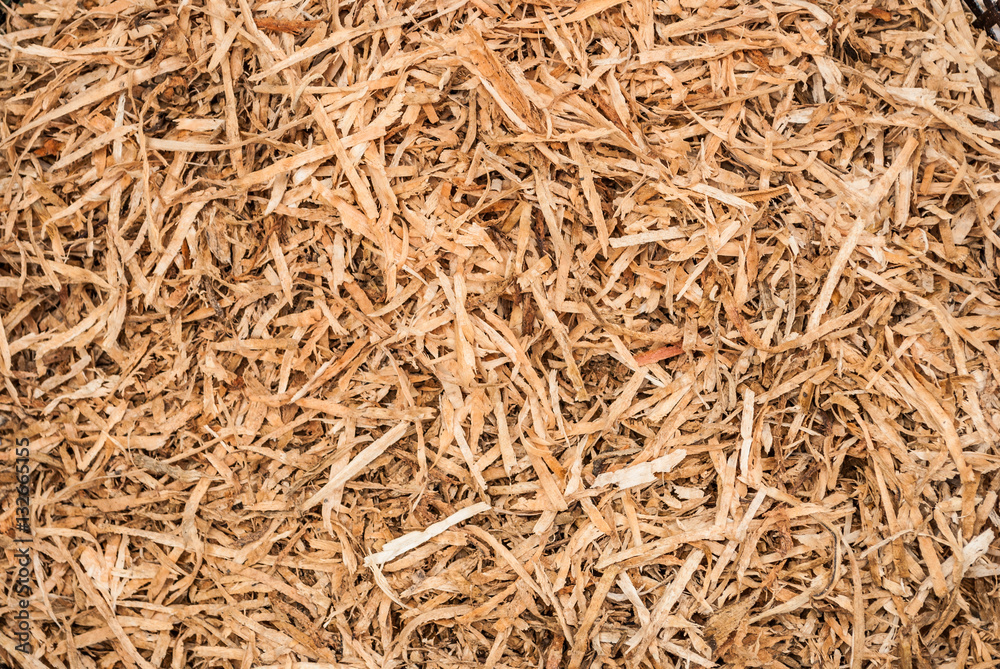 Pile of Wood Flakes Background/ Texture Pile of Wood Flakes Background/ Texture