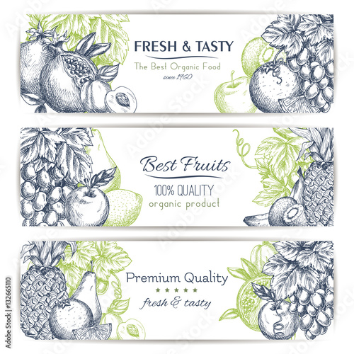 Tropical and garden fruits sketch banner set