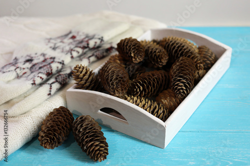 Wool socks and fir cones in the white tray on a blue background.
