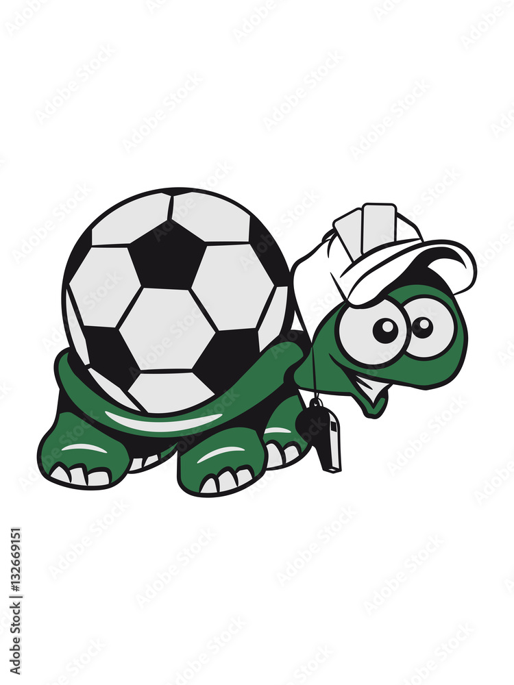 Obraz premium Turtle football referee