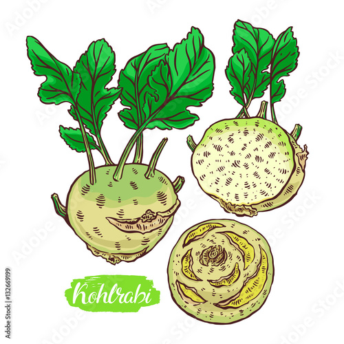 set of colorful kohlrabi