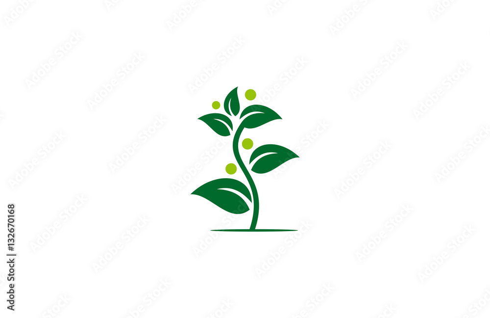 vector tree plant human logo vector tree plant human logo