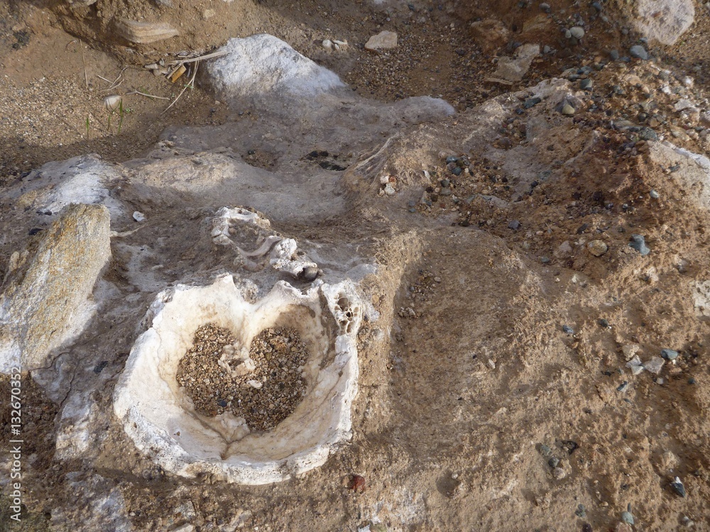 Naklejka premium skull and bones in an ancient excavation site
