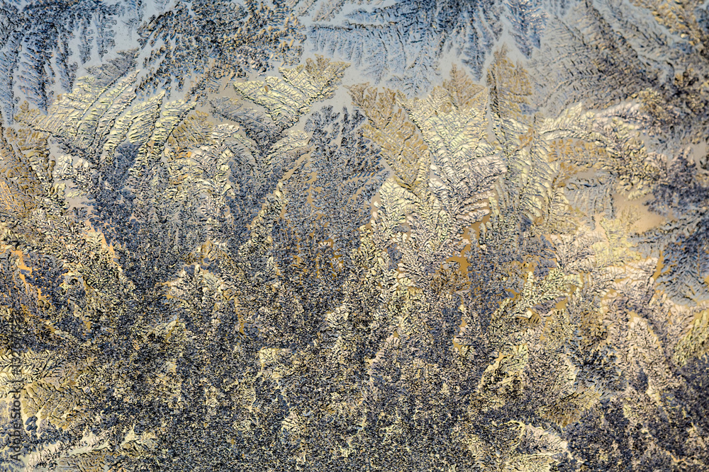 Naklejka premium Winter Frost Patterns on Window