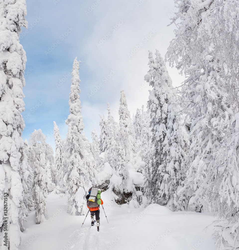skitour or backcountry skier in the woods with a backpack hiking in winter