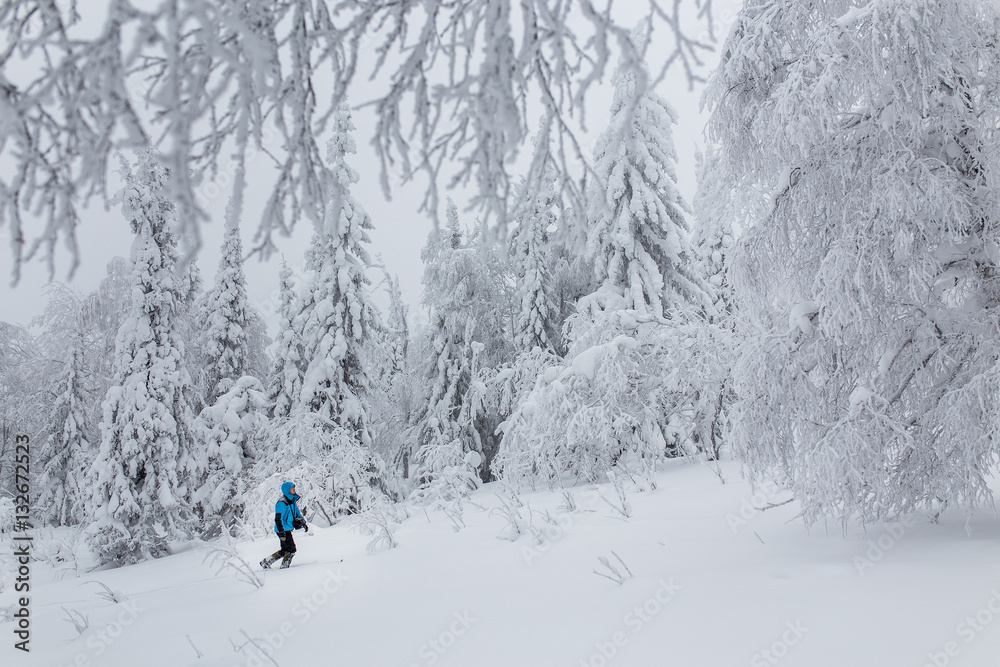 Back view of man ski touring in snowy forest at Cloudy day.