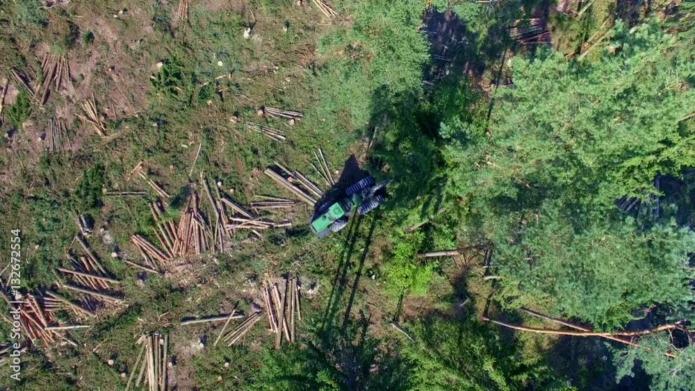 Forest cutting. Shooting with the drone. Timber harvester. Forest cutting with the help of a harvester. Forest cutting with the help of special equipment. 4K resolution.
Forest cutting. Shooting with the drone. Timber harvester. Forest cutting with the help of a harvester. Forest cutting with the help of special equipment. 4K resolution.
