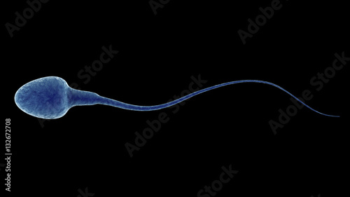 blue sperm isolated on black photo