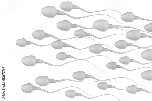 group of sperms photo