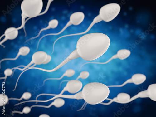 group of sperms photo