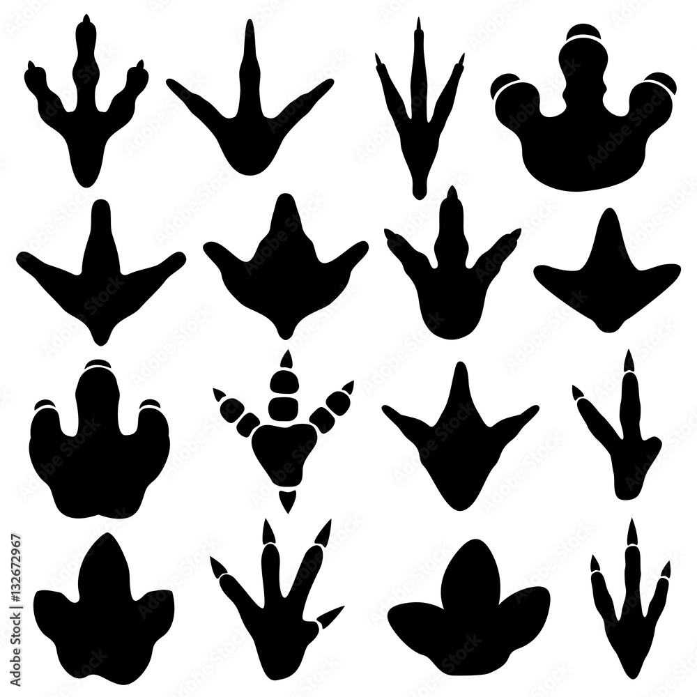 Dinosaur claw footprint silhouettes vector set Dinosaur claw footprint silhouettes vector set