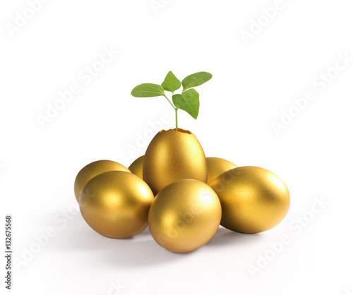 golden  easter egg isolated