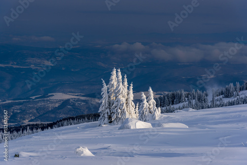 Frozen trees on a mountain top - impressive winter landscape
