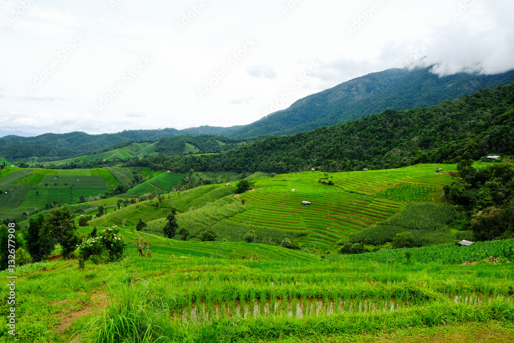 Beautiful rice terraces at Ban Pa Pong Pieng, Mae chaem, Chaing